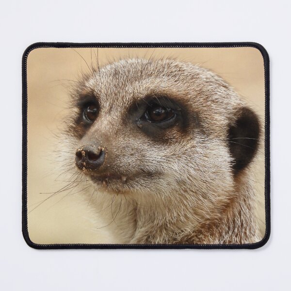 Item preview, Meerkat giving a look designed and sold by Mark Grimsley.