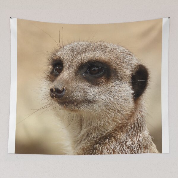 Item preview, Meerkat giving a look designed and sold by Mark Grimsley.
