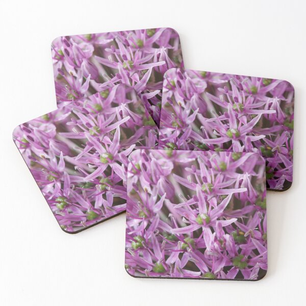 Item preview, Allium stipitatum  'Mars'  designed and sold by Chris Burrows.
