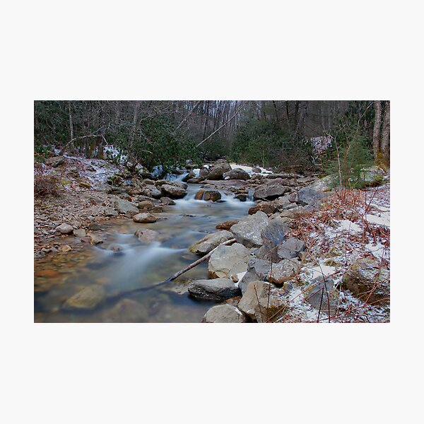 Tea Creek II Photographic Print