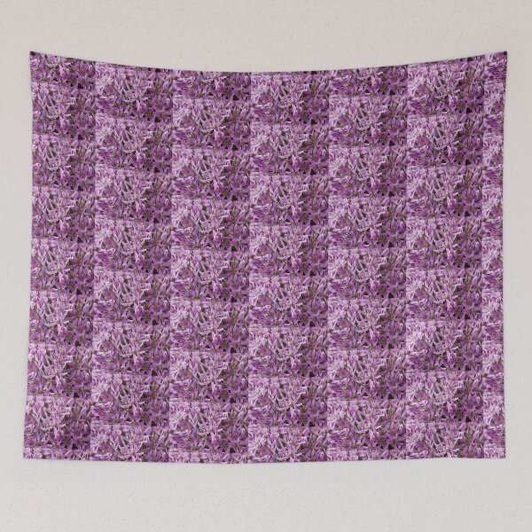 Item preview, Allium stipitatum  'Mars'  designed and sold by Chris Burrows.