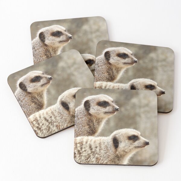Item preview, Meerkat double trouble  designed and sold by Mark Grimsley.