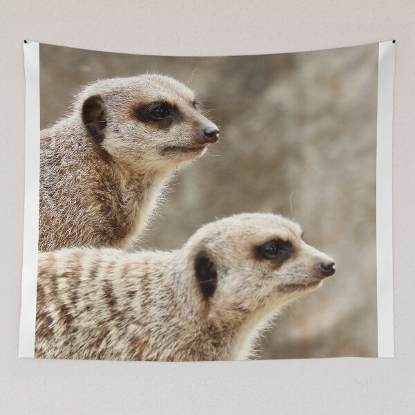 Item preview, Meerkat double trouble  designed and sold by Mark Grimsley.