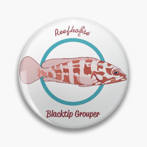 Item preview, Blacktip Grouper designed and sold by KaplanCrypto.