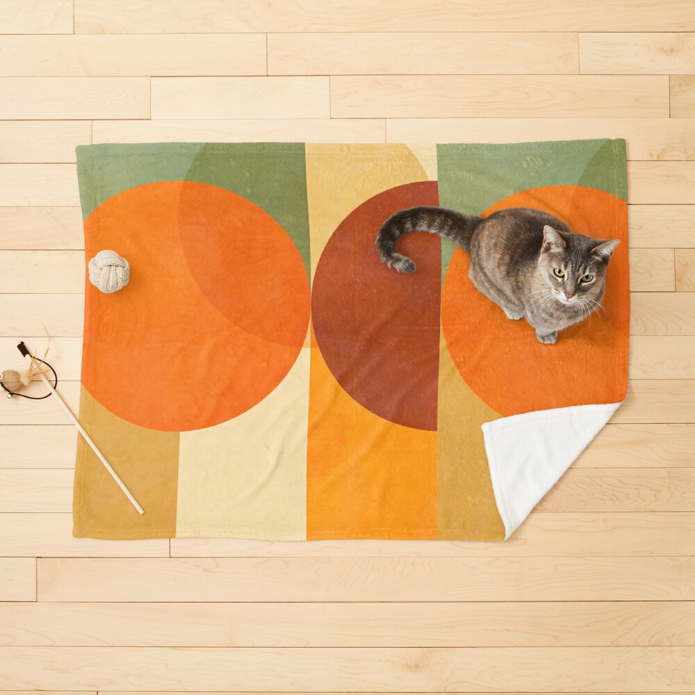 https://ih1.redbubble.net/image.5225238006.0457/ur,pet_blanket_small_flatlay_prop,square,1000x1000.jpg