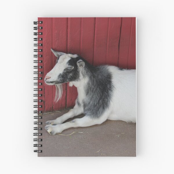 Item preview, Black and White Goat designed and sold by kaylanaiad.