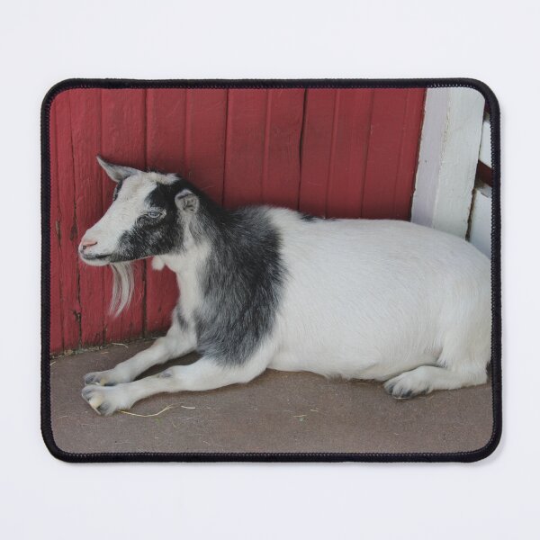Item preview, Black and White Goat designed and sold by kaylanaiad.