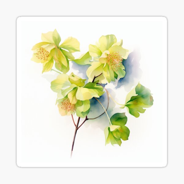 Item preview, Linden Flowers - Watercolor Illustration - Digital Art designed and sold by SeraphimDesigns.