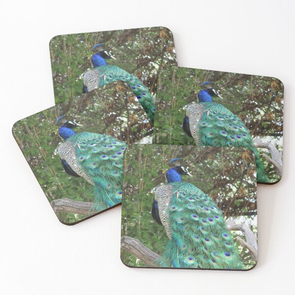 Item preview, Peacock in Tree designed and sold by kaylanaiad.