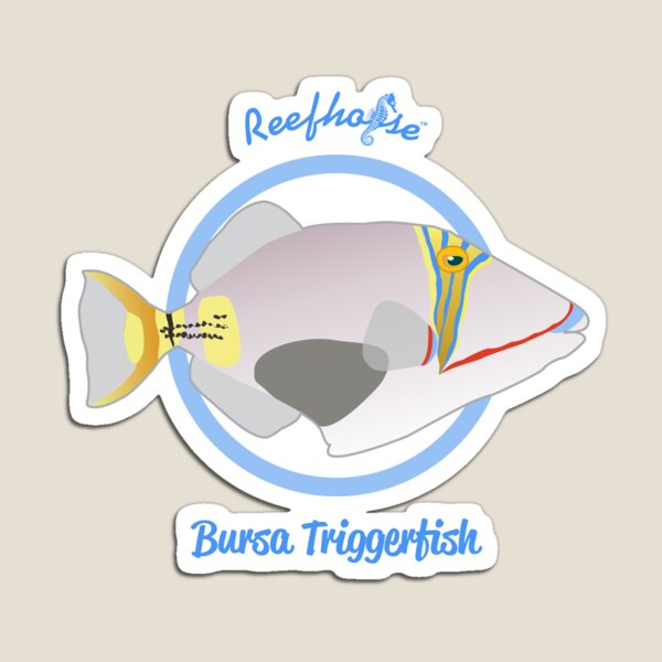 Item preview, Bursa Triggerfish designed and sold by KaplanCrypto.