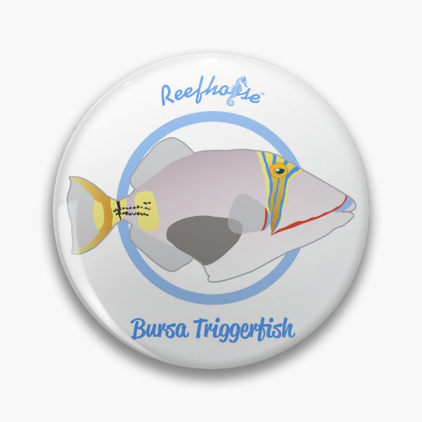 Item preview, Bursa Triggerfish designed and sold by KaplanCrypto.