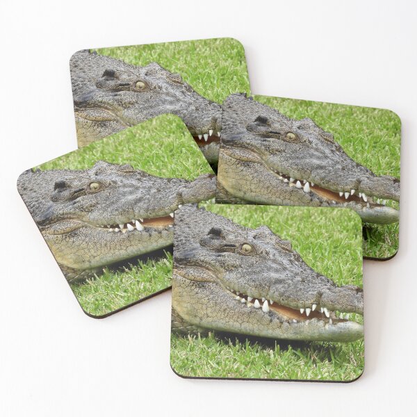Item preview, Saltwater Crocodile smile designed and sold by Mark Grimsley.