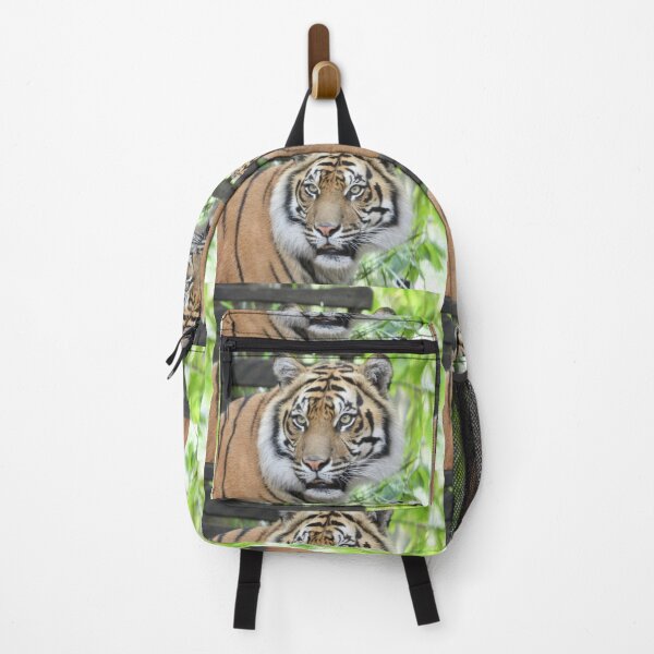 Item preview, Sumatran Tiger face at Zoo designed and sold by Mark Grimsley.