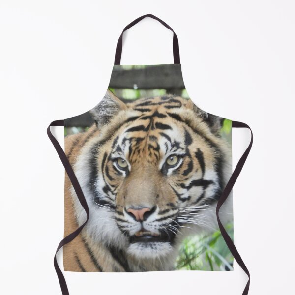 Item preview, Sumatran Tiger face at Zoo designed and sold by Mark Grimsley.