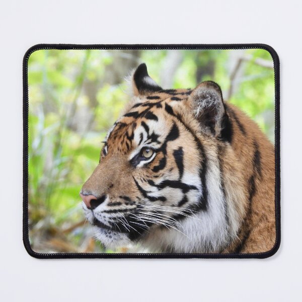 Item preview, Sumatran Tiger profile designed and sold by Mark Grimsley.