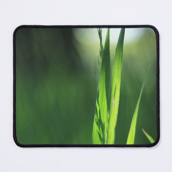 Item preview, Sun and Shadow Grass designed and sold by SunlitColors.