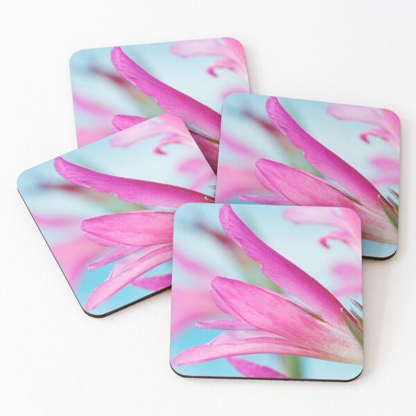 Item preview, Gladiolus communis subsp. byzantinus  AGM  Byzantine gladiolus   designed and sold by Chris Burrows.