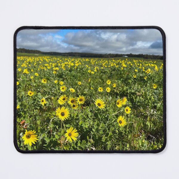Item preview, Spring 2023 Yellow flowers across the paddock designed and sold by Rainbow Farm Photography.