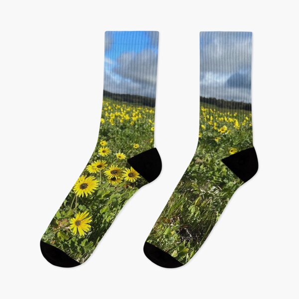 Item preview, Spring 2023 Yellow flowers across the paddock designed and sold by Rainbow Farm Photography.
