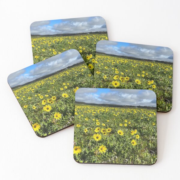 Item preview, Spring 2023 Yellow flowers across the paddock designed and sold by Rainbow Farm Photography.