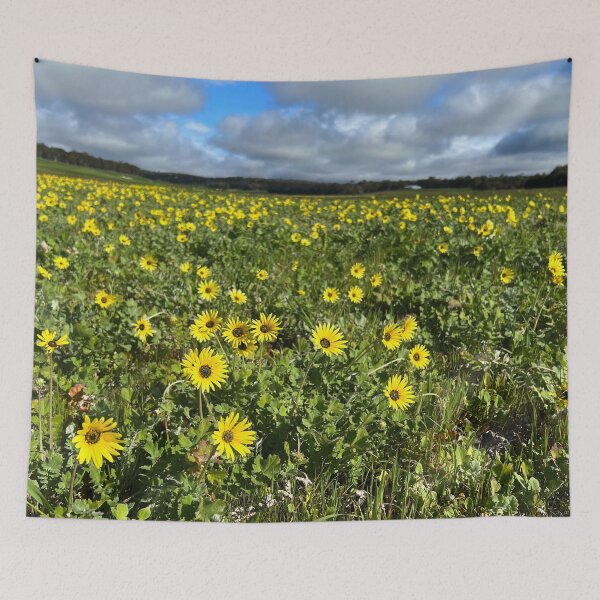 Item preview, Spring 2023 Yellow flowers across the paddock designed and sold by Rainbow Farm Photography.