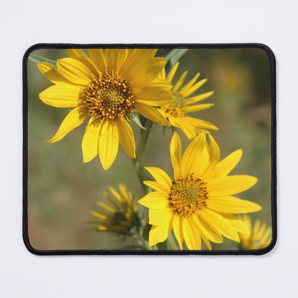 Item preview, Yellow on Yellow Flowers designed and sold by SunlitColors.