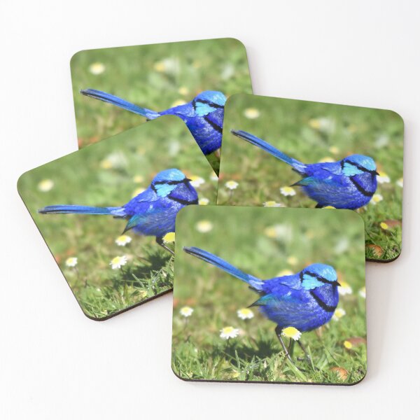 Item preview, Blue Wren Busselton, Western Australia September 2023 designed and sold by Rainbow Farm Photography.