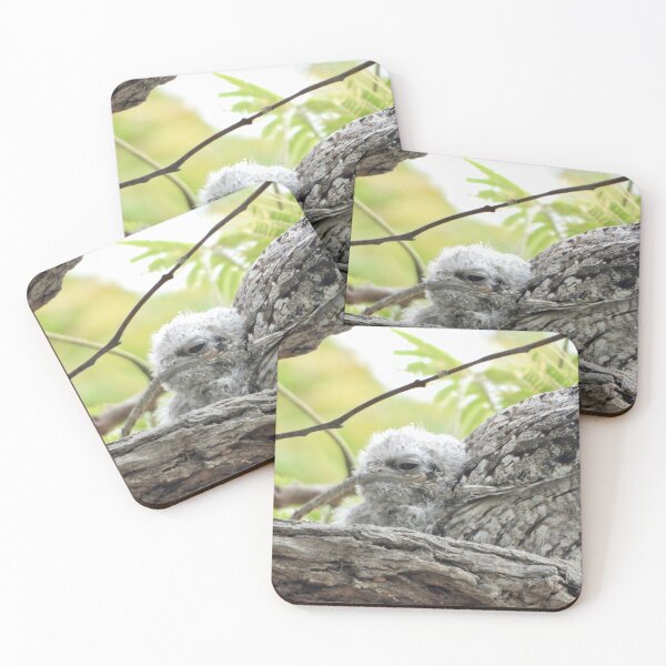 Item preview, Young Tawny Frogmouth smile designed and sold by Mark Grimsley.