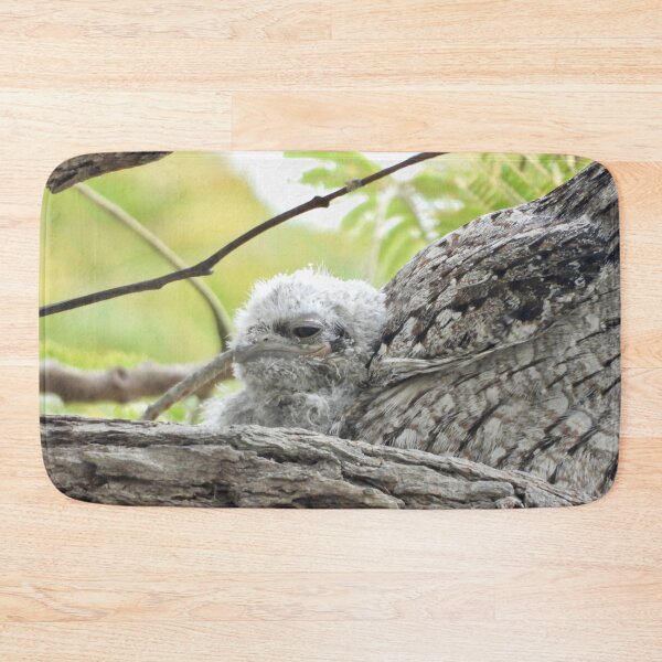 Item preview, Young Tawny Frogmouth smile designed and sold by Mark Grimsley.