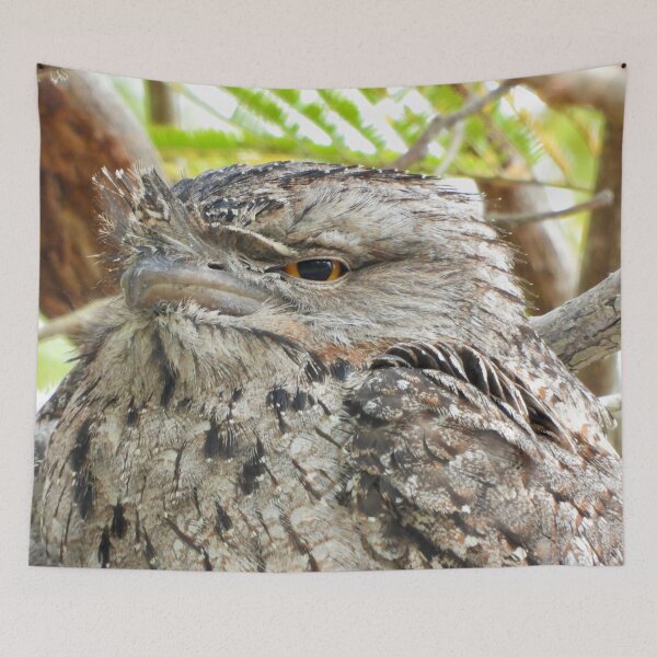 Item preview, Tawny Frogmouth frown designed and sold by Mark Grimsley.