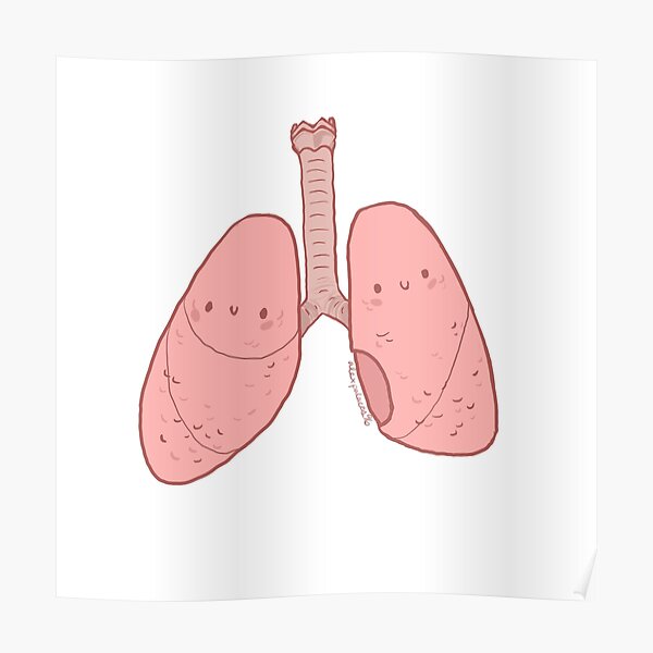 Cute Lungs Poster