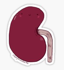Nette Niere Sticker