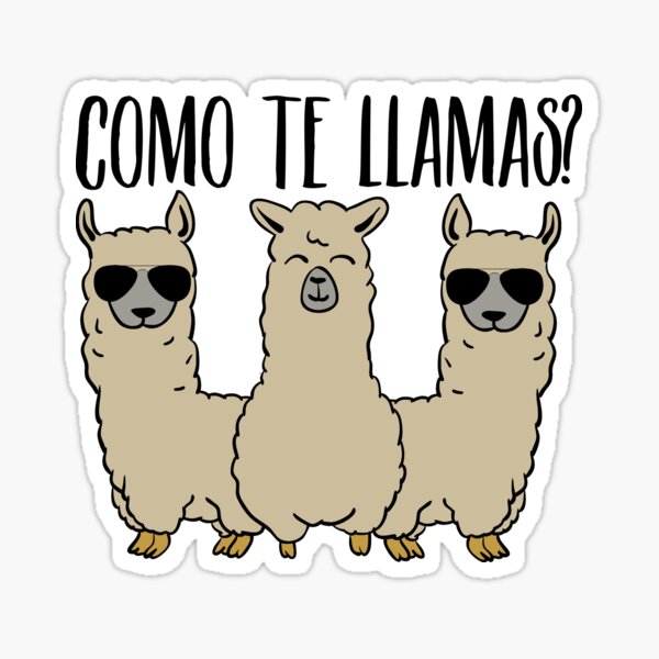 Llama Mini Happy Planner Stickers