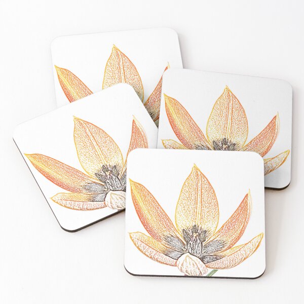 Item preview, Tulipa orphanidea Whittallii Group AGM Tulip Miscellaneous tulip group  Artistic filter applied to photo designed and sold by Chris Burrows.
