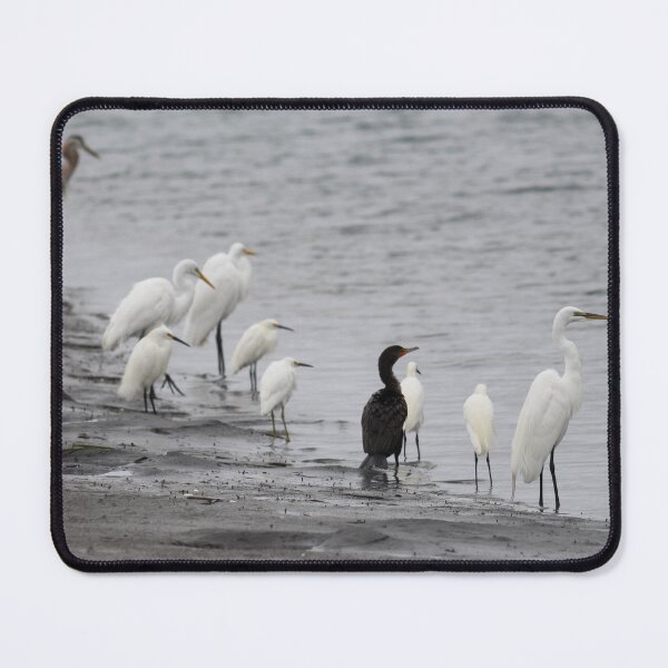 Item preview, Shorebirds Flock Together Birds designed and sold by Jessica Weiss.