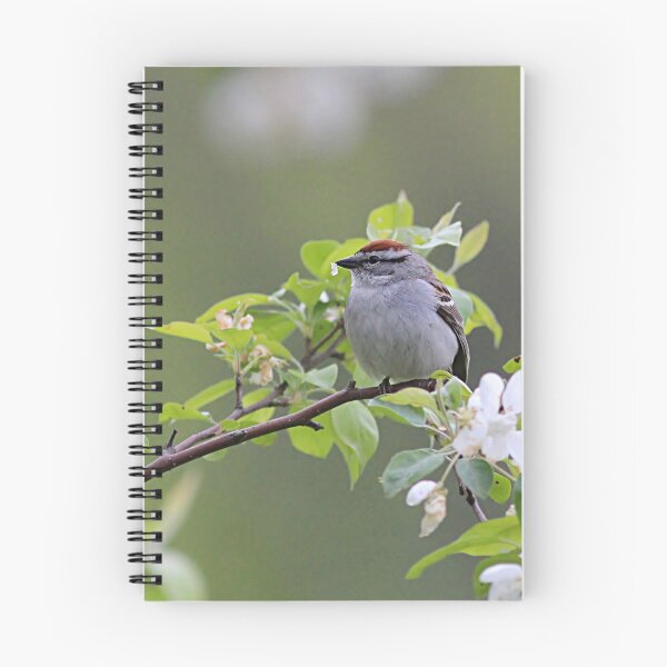 Item preview, Chipping Sparrow perched on branch with blossoms designed and sold by Linda Crockett.