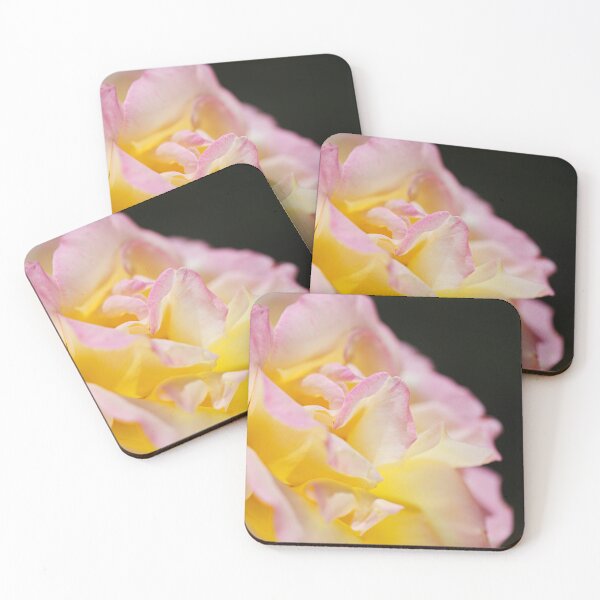 Item preview, Abraham Darby Variegated Rose Summer designed and sold by Joy Watson - Natural Light Photography .