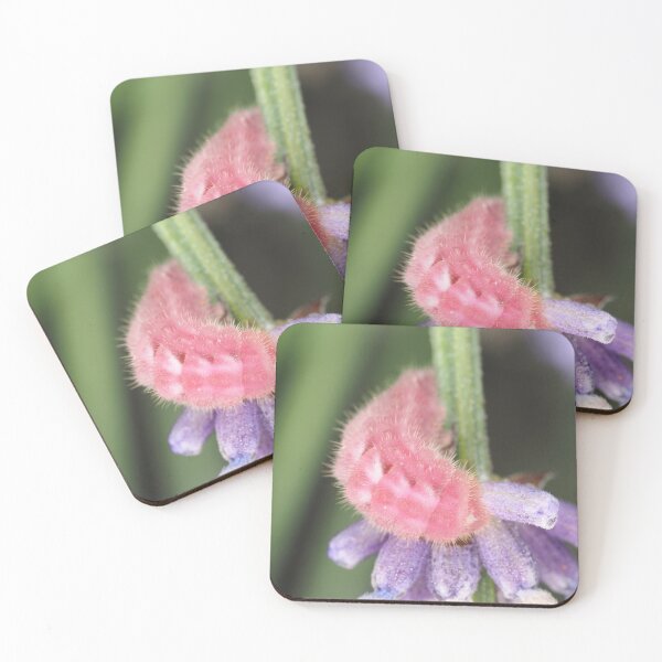 Item preview, Pink caterpillar designed and sold by SDym Photography.