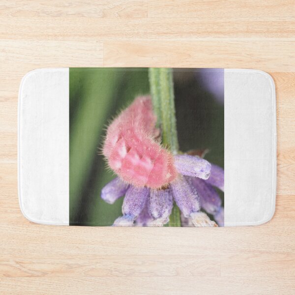 Item preview, Pink caterpillar designed and sold by SDym Photography.