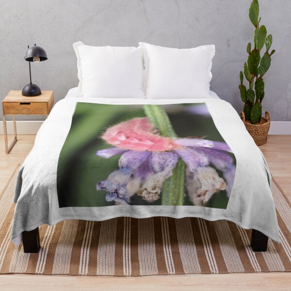 Item preview, Pink caterpillar designed and sold by SDym Photography.