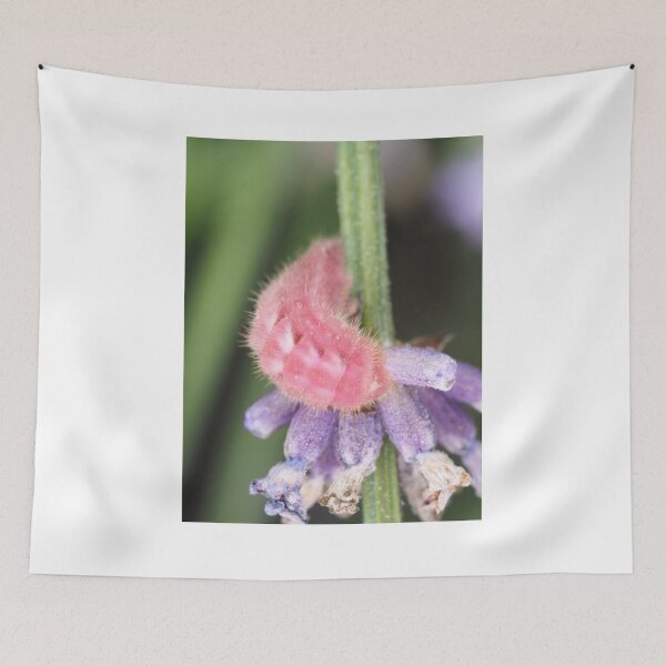 Item preview, Pink caterpillar designed and sold by SDym Photography.
