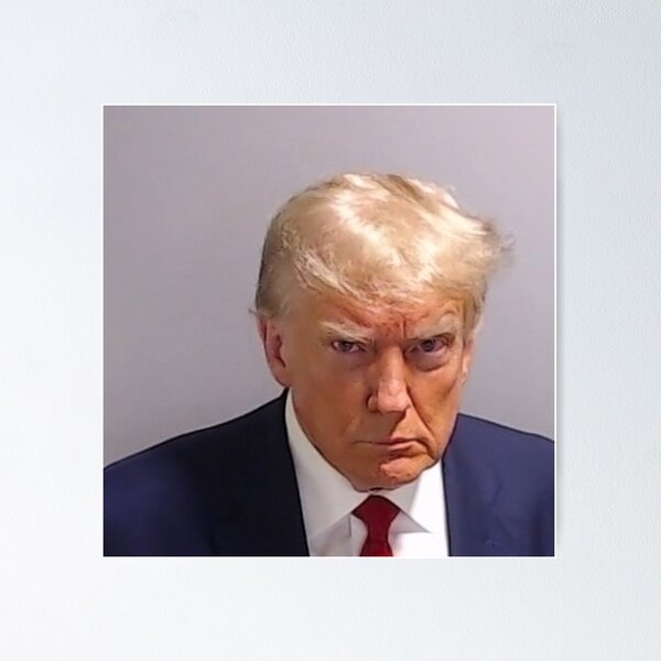 Item preview, Mugshot Trump designed and sold by mCgureBurst.