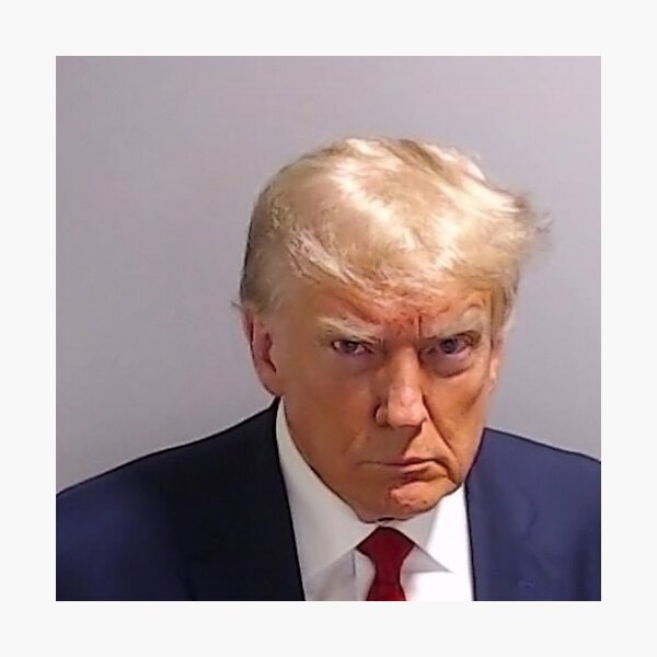 Item preview, Mugshot Trump designed and sold by mCgureBurst.