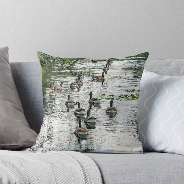 Item preview, Canada Geese designed and sold by QuackerSnaps.