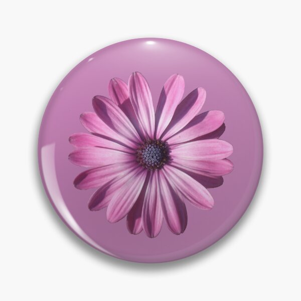 Item preview, Spectacular African Daisy Isolated designed and sold by taiche.