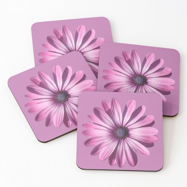 Item preview, Spectacular African Daisy Isolated designed and sold by taiche.