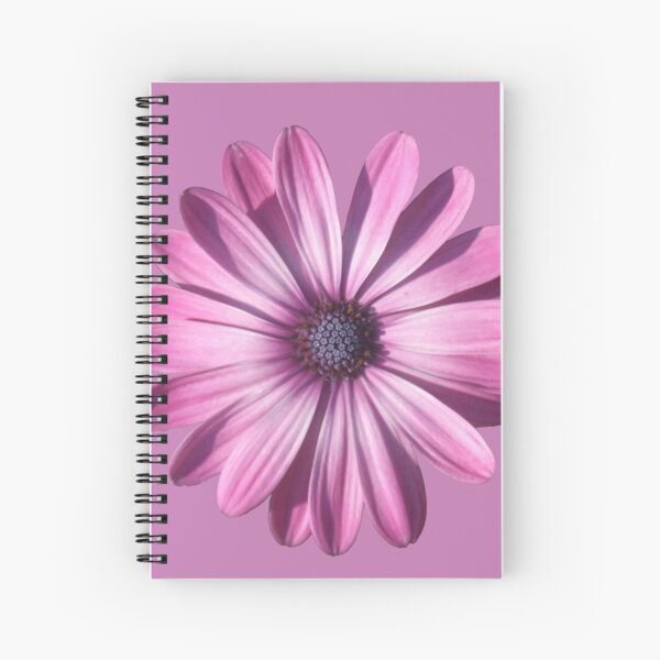 Item preview, Spectacular African Daisy Isolated designed and sold by taiche.