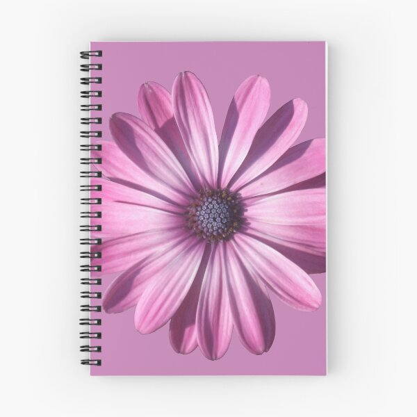 Item preview, Spectacular African Daisy Isolated designed and sold by taiche.