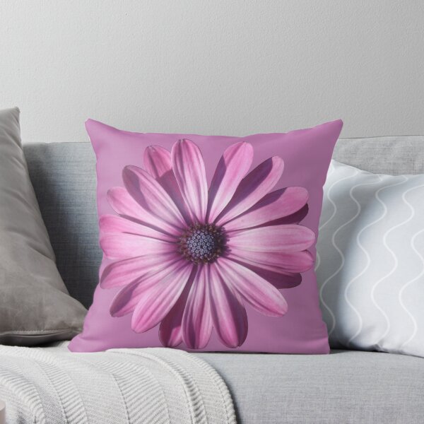 Item preview, Spectacular African Daisy Isolated designed and sold by taiche.