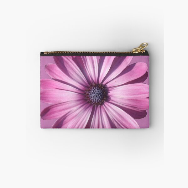 Item preview, Spectacular African Daisy Isolated designed and sold by taiche.